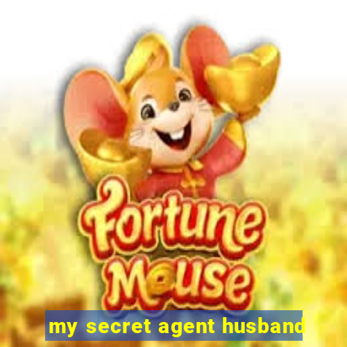 my secret agent husband